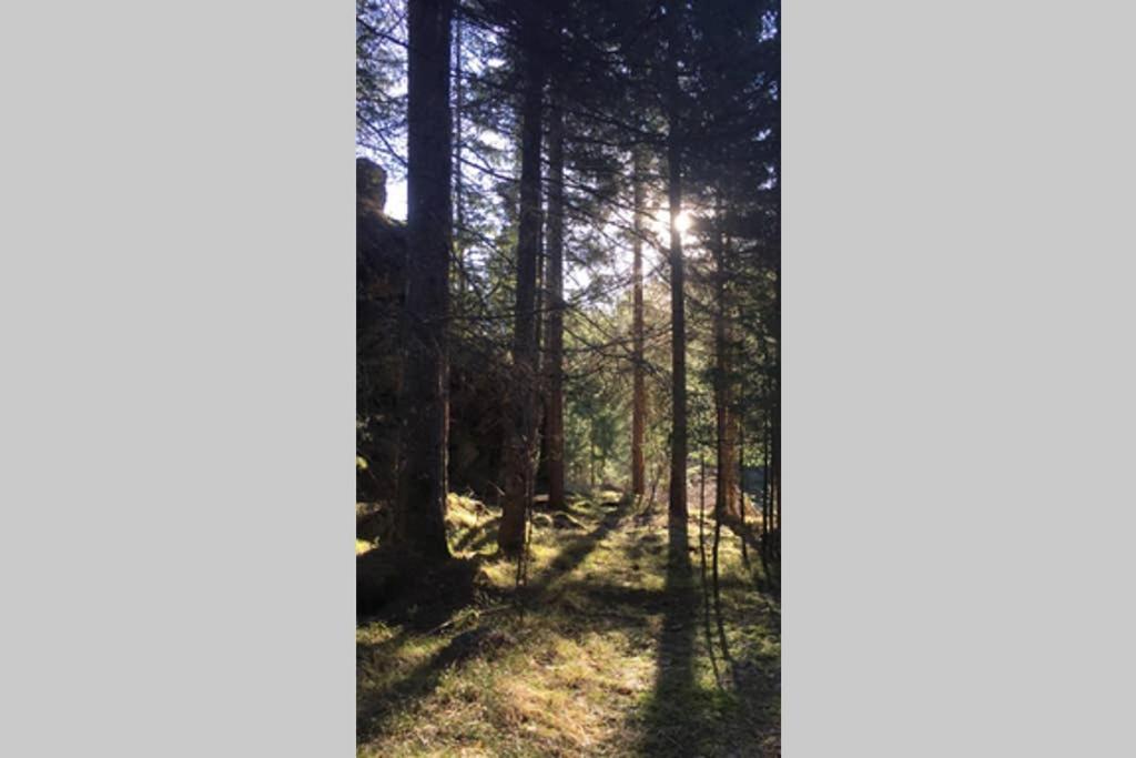 Gemuetliches Ferienhaus Am Waldrand Tröpolach Екстериор снимка